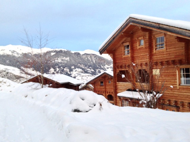 chalet en bois